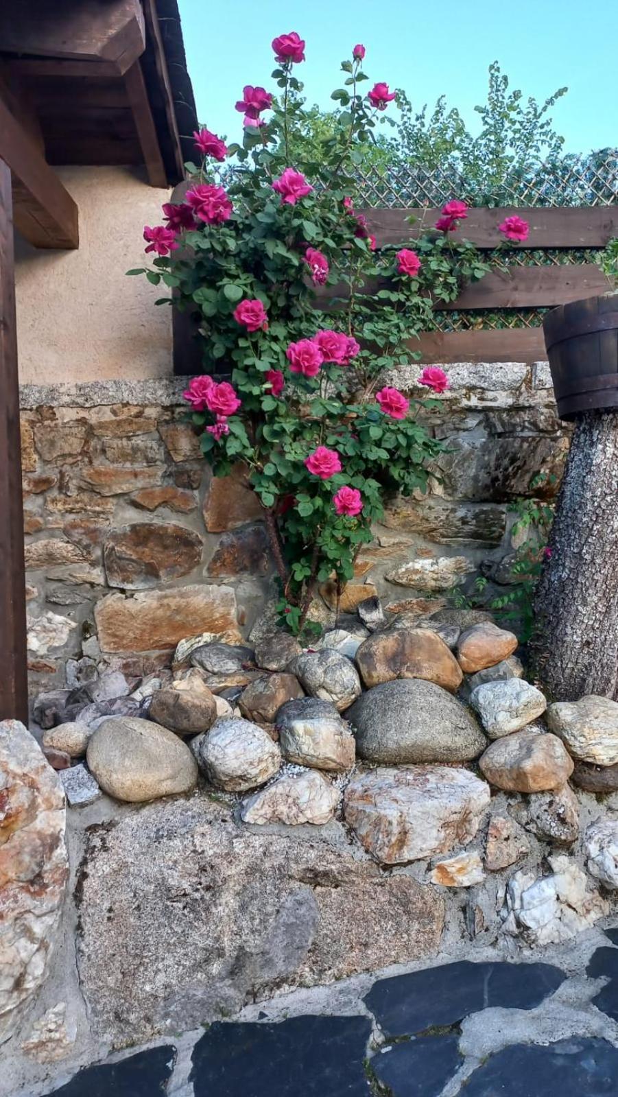 Casa Del Cura ξενώνας Rozas Εξωτερικό φωτογραφία